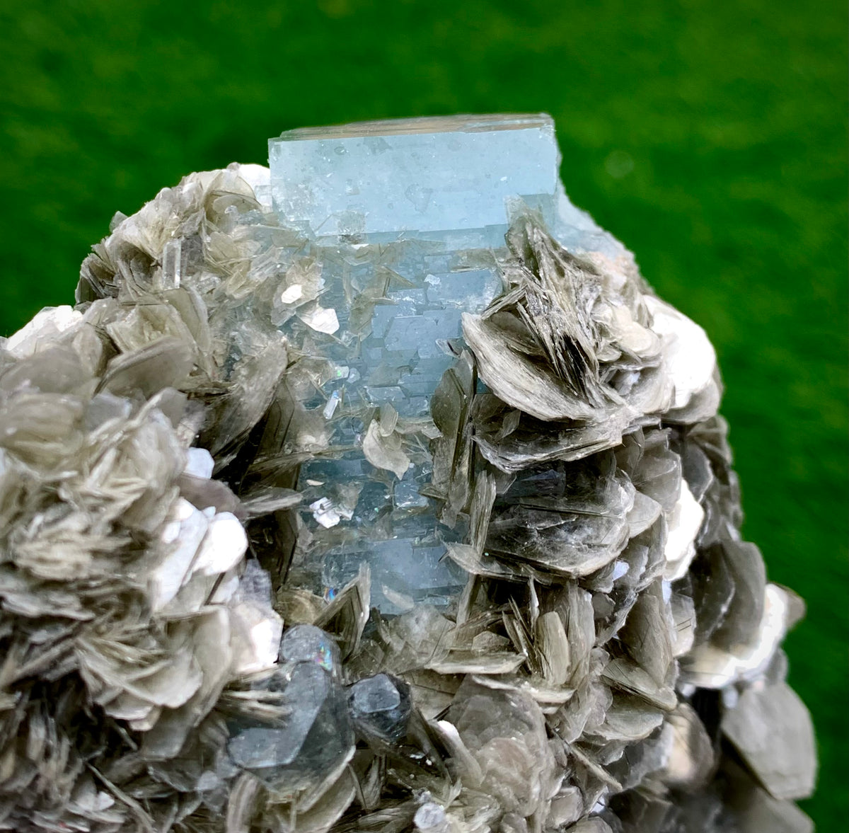 342 Grams Natural Blue Aquamarine Terminated Crystal Specimen on Muscovite Mica Matrix From Pakistan