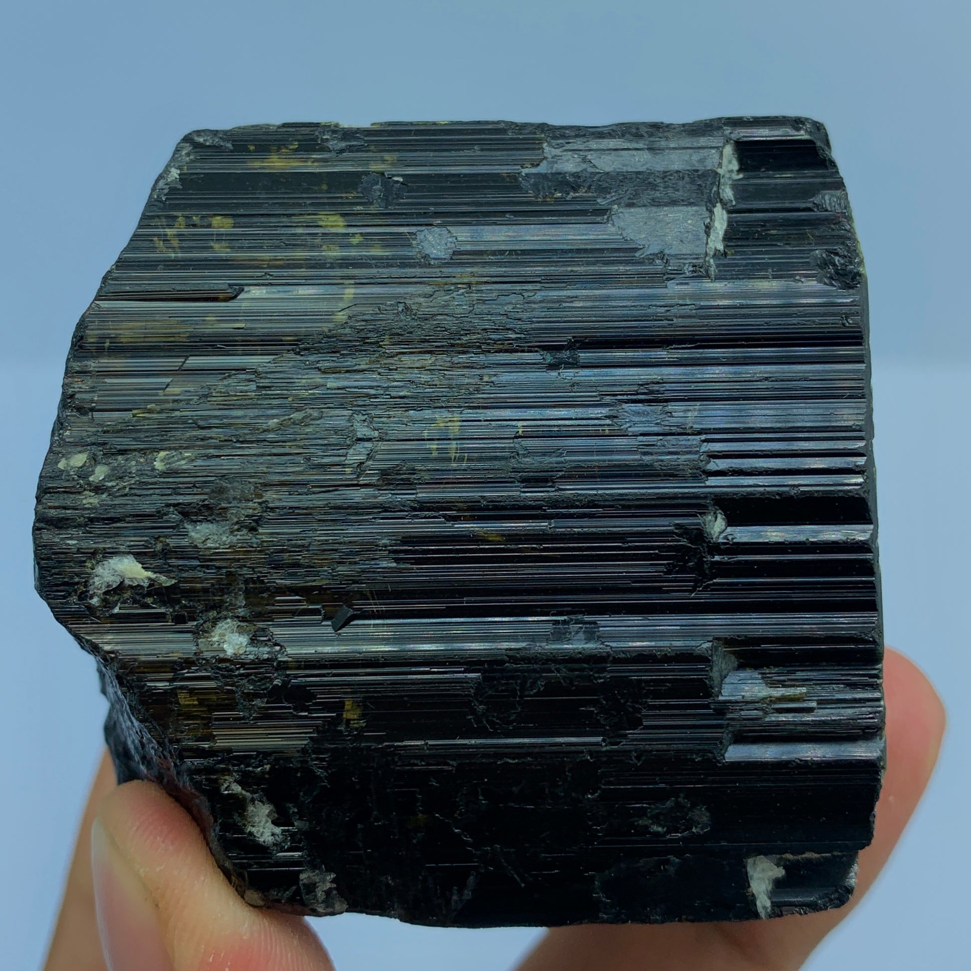 Black Tourmaline, Schorl Crystal, 1800 Carats, Etched Termination, Massive Crystal, Pakistan Mineral, Grounding Stone, Healing Crystal, Collector Specimen, Investment Stone, Tourmaline Crystal, Root Chakra, Crystal Dimensions
