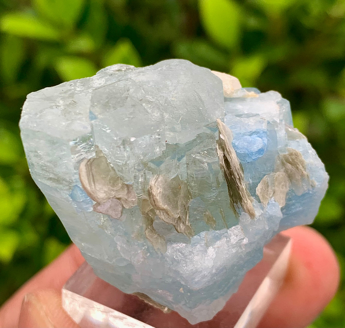 40 Grams Natural Blue Aquamarine Terminated Crystal Specimen on Muscovite Mica Matrix From Pakistan