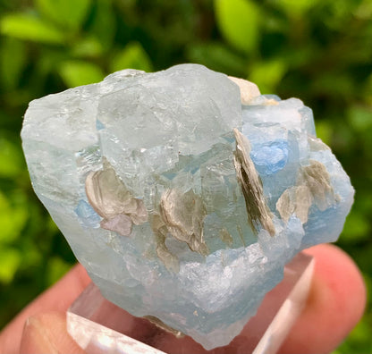 40 Grams Natural Blue Aquamarine Terminated Crystal Specimen on Muscovite Mica Matrix From Pakistan