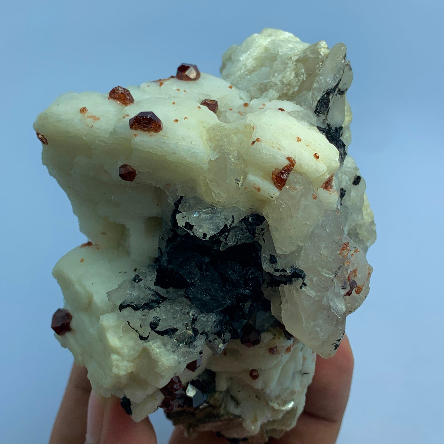 Red Garnet, Black Tourmaline, Feldspar Matrix, Tourmaline Garnet, Pakistan Specimen, Raw Crystal, Mineral Cluster, Collector Grade, Protection Crystal, Garnet on Matrix