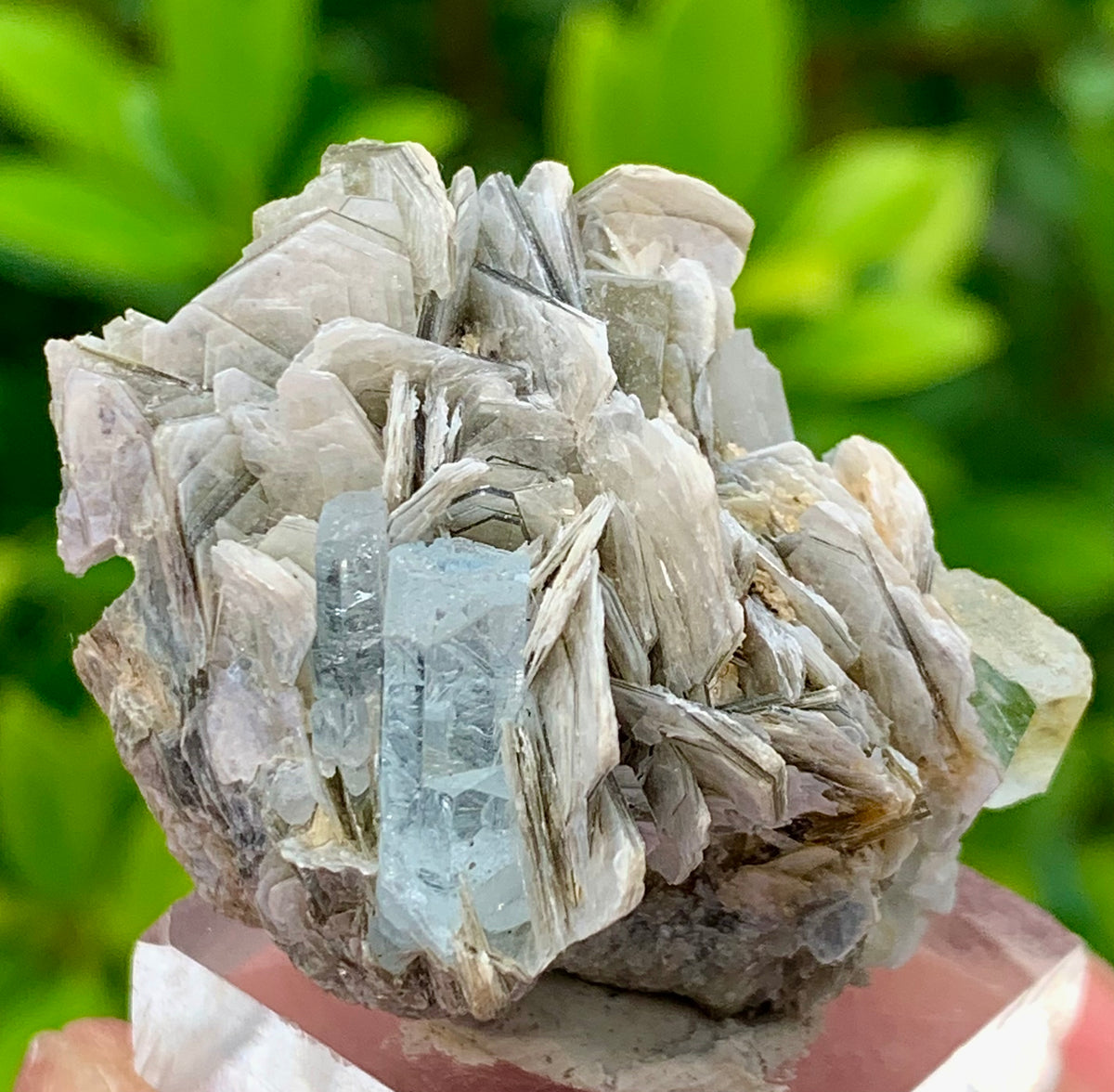 22 Grams Natural Blue Aquamarine Terminated Crystal Specimen on Muscovite Mica Matrix From Pakistan