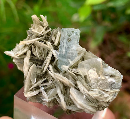 Blue Aquamarine beautiful termination crystal on Muscovite mica from skardu Pakistan Natural crystal specimen