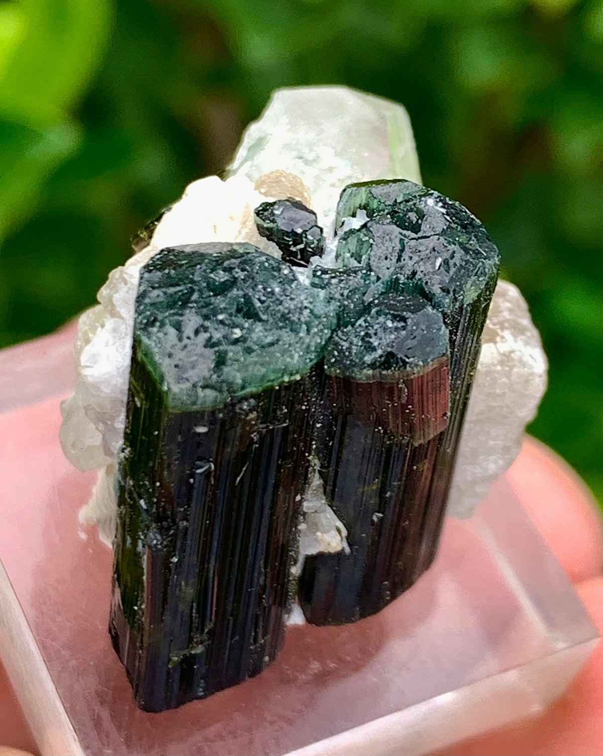 Natural Bluecap Tourmaline Bunches of Crystal with Quartz Terminated Crystal, Lepidolite and Mica Matrix