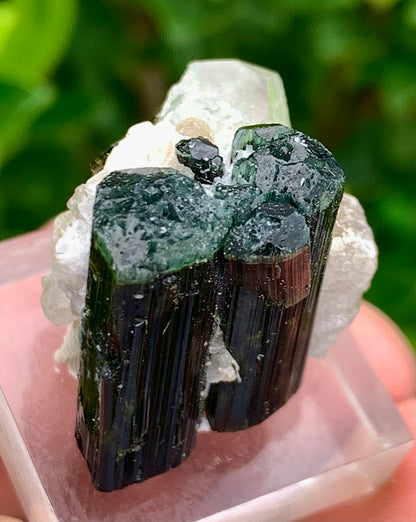 Natural Bluecap Tourmaline Bunches of Crystal with Quartz Terminated Crystal, Lepidolite and Mica Matrix