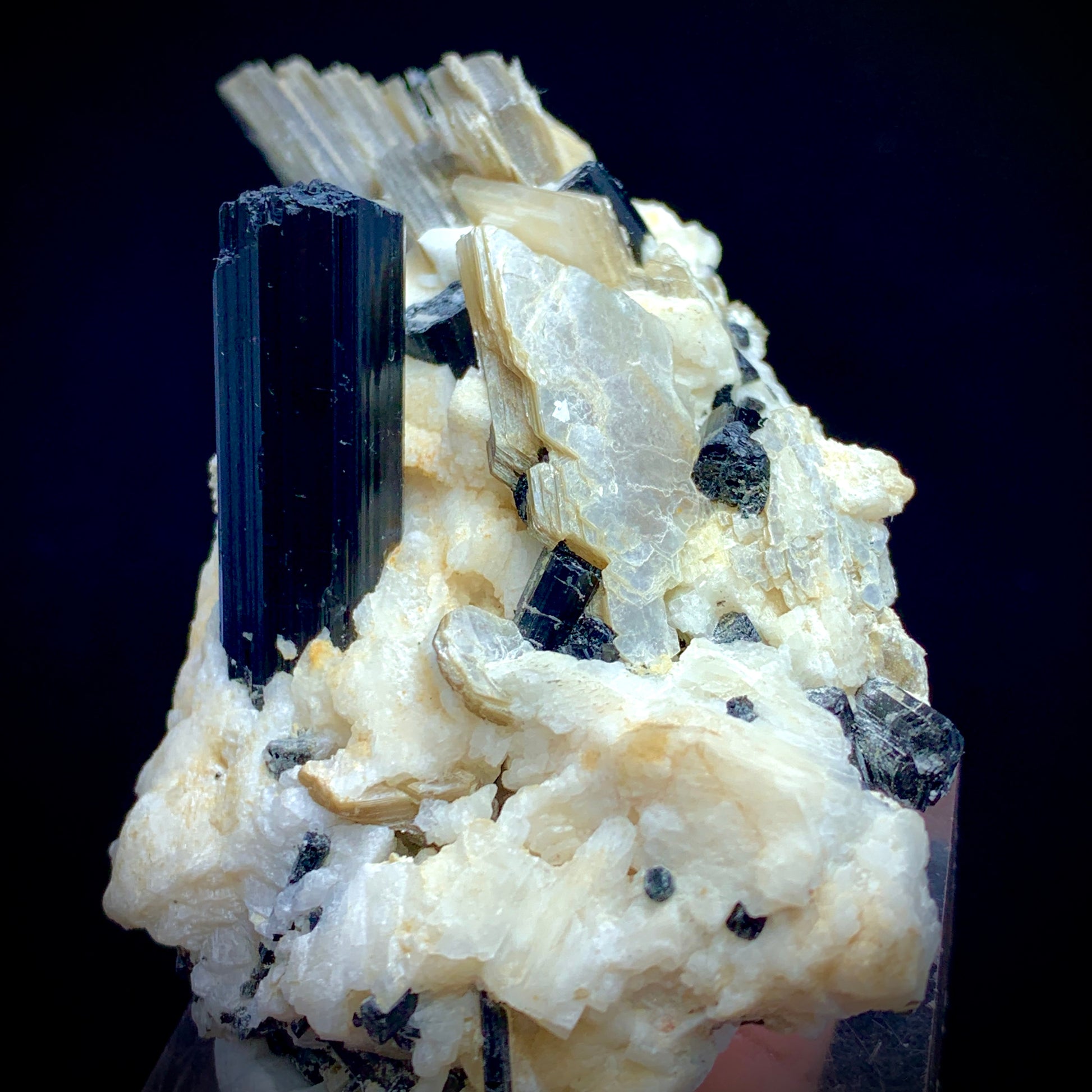 Black Tourmaline Schorl Crystal Cluster on Matrix | Pakistan Mineral Specimen
