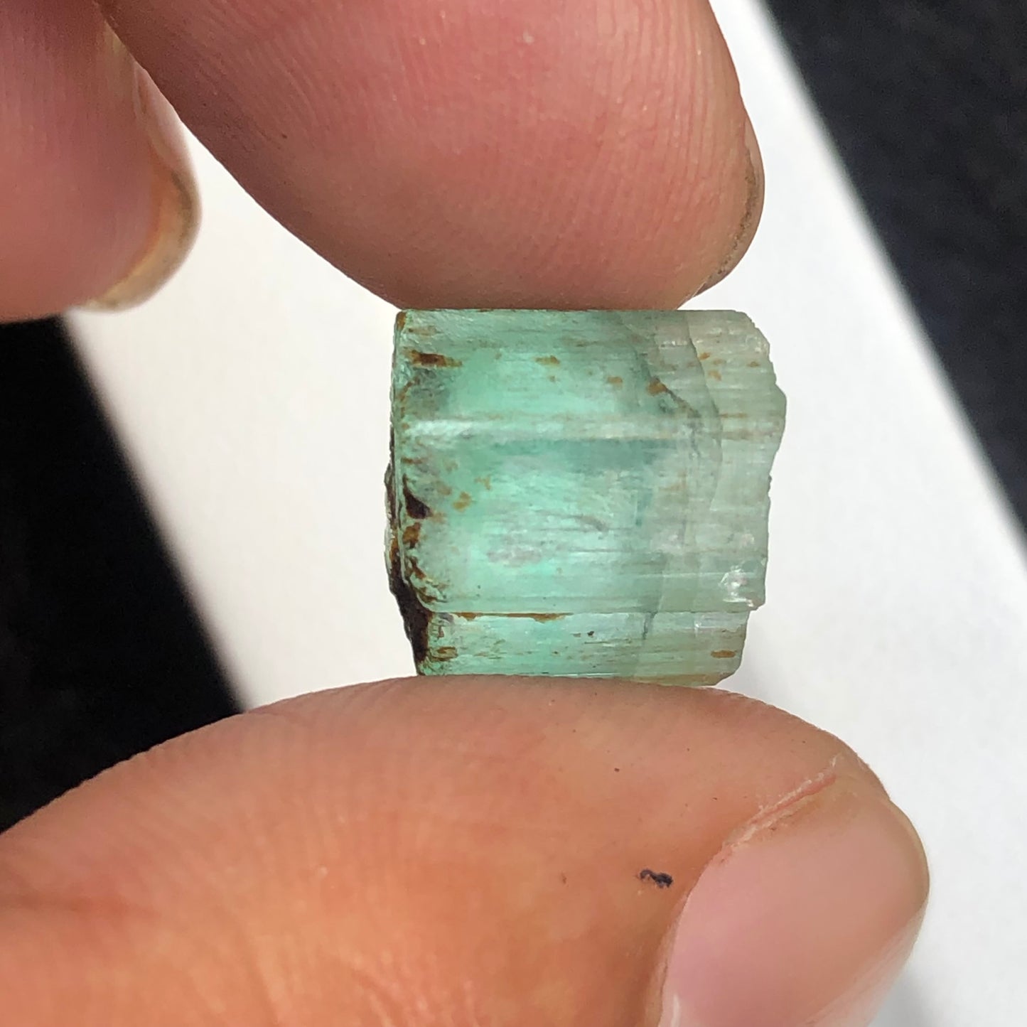 Emerald Rough, 14.5 Carat Emerald, Uncut Gemstone, Vivid Green, Afghan Emerald, Afghanistan Crystal, Raw Beryl, Emerald Crystal, May Birthstone, Lapidary Rough, Investment Grade