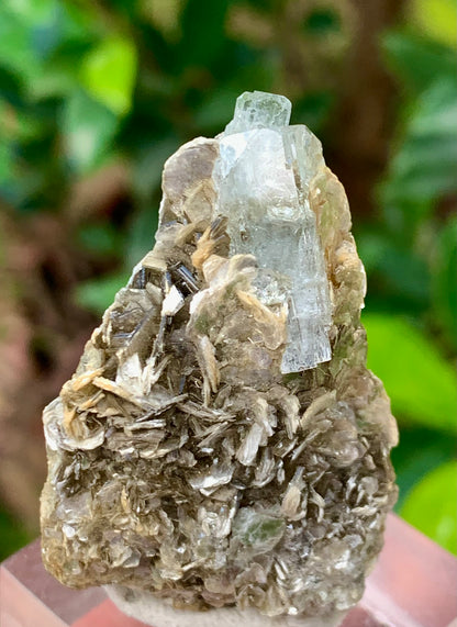 Natural Blue Aquamarine Terminated Crystal on Crystal with Muscovite Mica Matrix from Pakistan