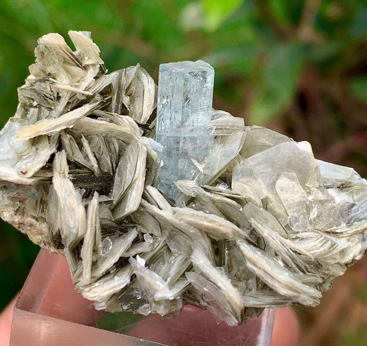 Blue Aquamarine beautiful termination crystal on Muscovite mica from skardu Pakistan Natural crystal specimen