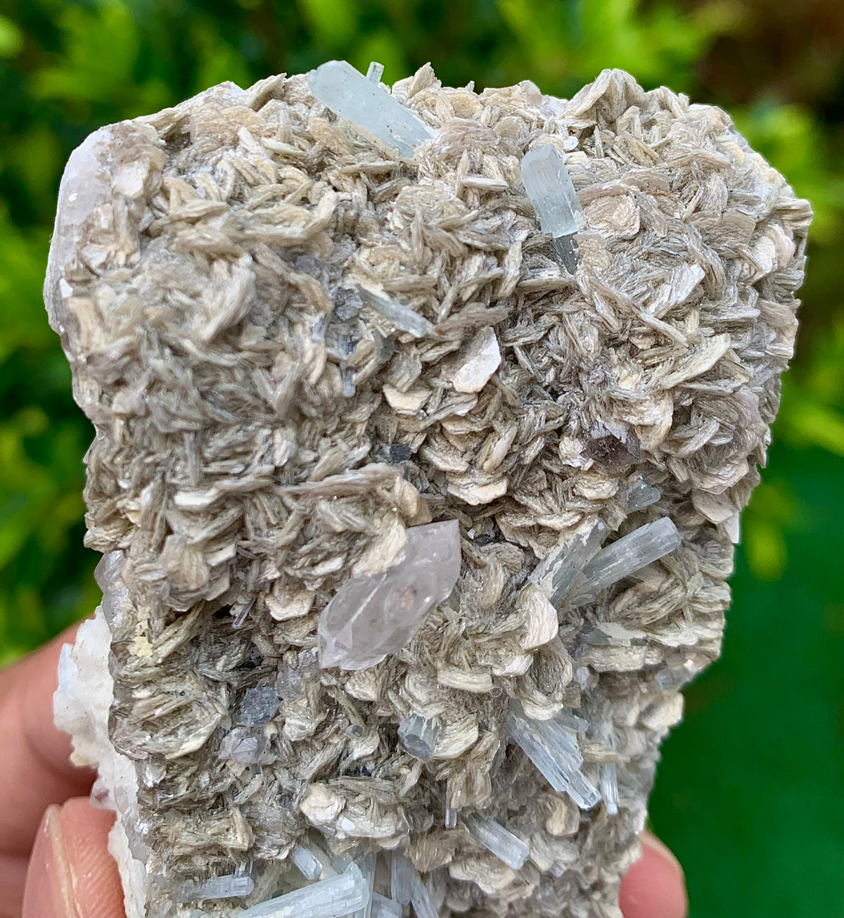 116 Grams Natural Aquamarine Terminated Cluster of Crystal with Gwindel Quartz Crystal on Muscovite Mica Matrix From Pakistan