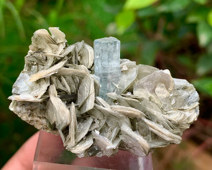 Blue Aquamarine beautiful termination crystal on Muscovite mica from skardu Pakistan Natural crystal specimen