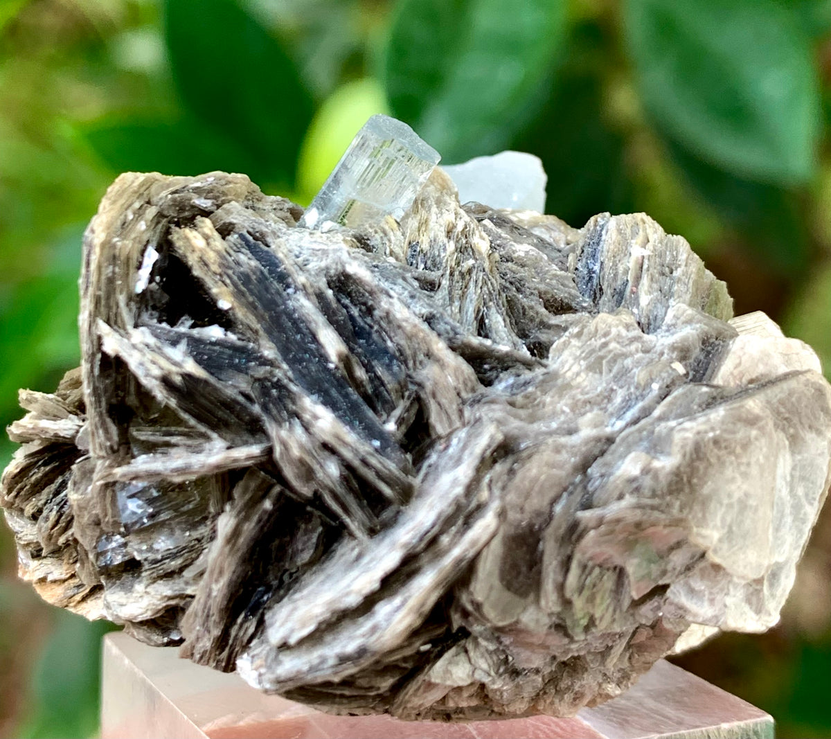 31 Grams Natural Blue Aquamarine Terminated Crystal on Muscovite Mica Matrix from Skardu Pakistan