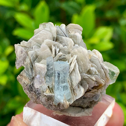 22 Grams Natural Blue Aquamarine Terminated Crystal Specimen on Muscovite Mica Matrix From Pakistan