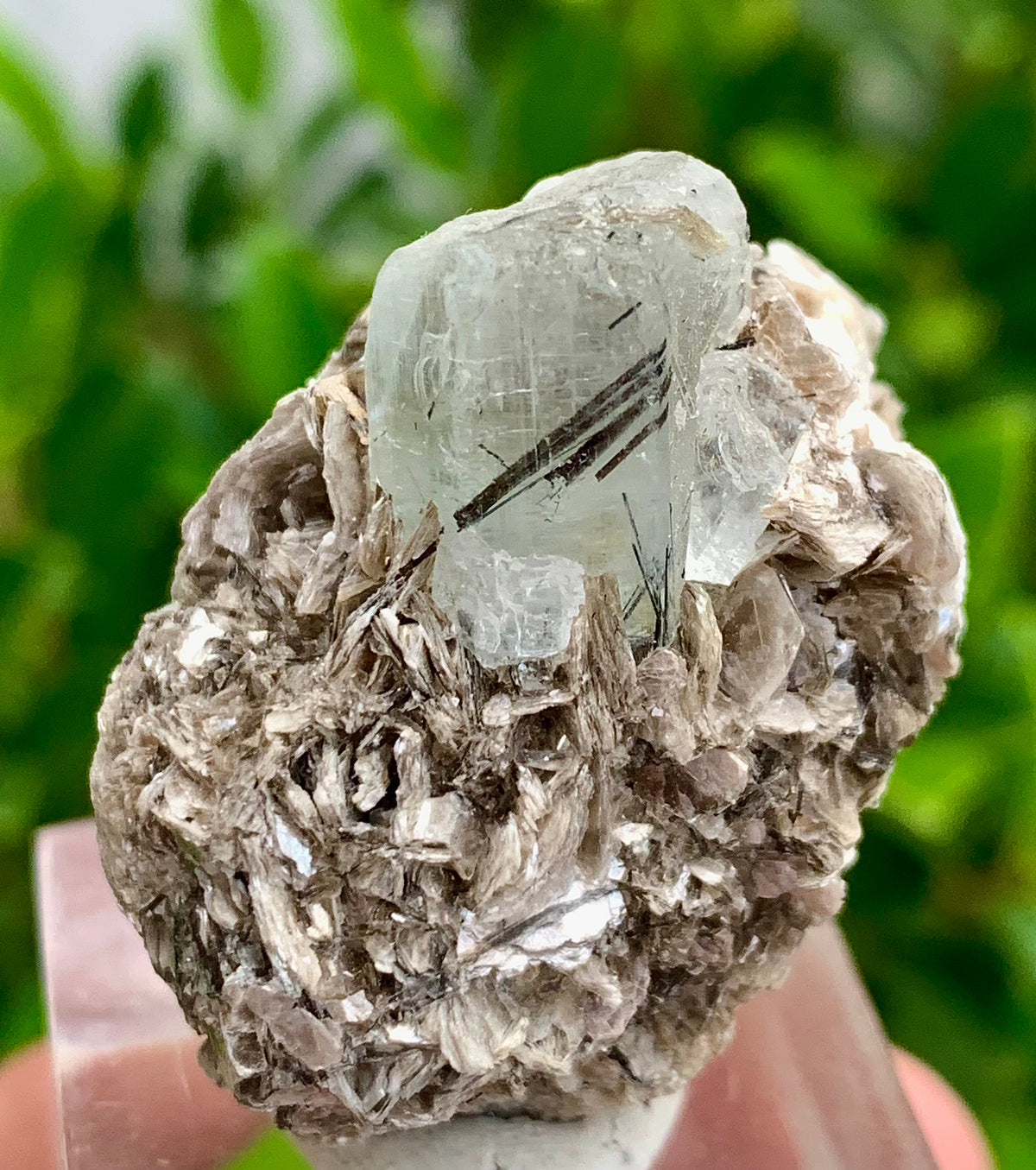 32 Grams natural blue Aquamarine crystal Black Tourmaline needle in aquamarine crystal on Muscovite Mica matrix from Pakistan