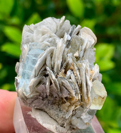 22 Grams Natural Blue Aquamarine Terminated Crystal Specimen on Muscovite Mica Matrix From Pakistan