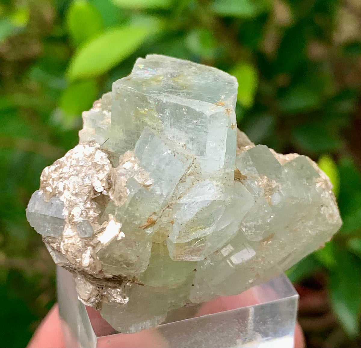 50 Grams Natural Blue Aquamarine Terminated Bunches of Crystal with Muscovite Mica from Pakistan