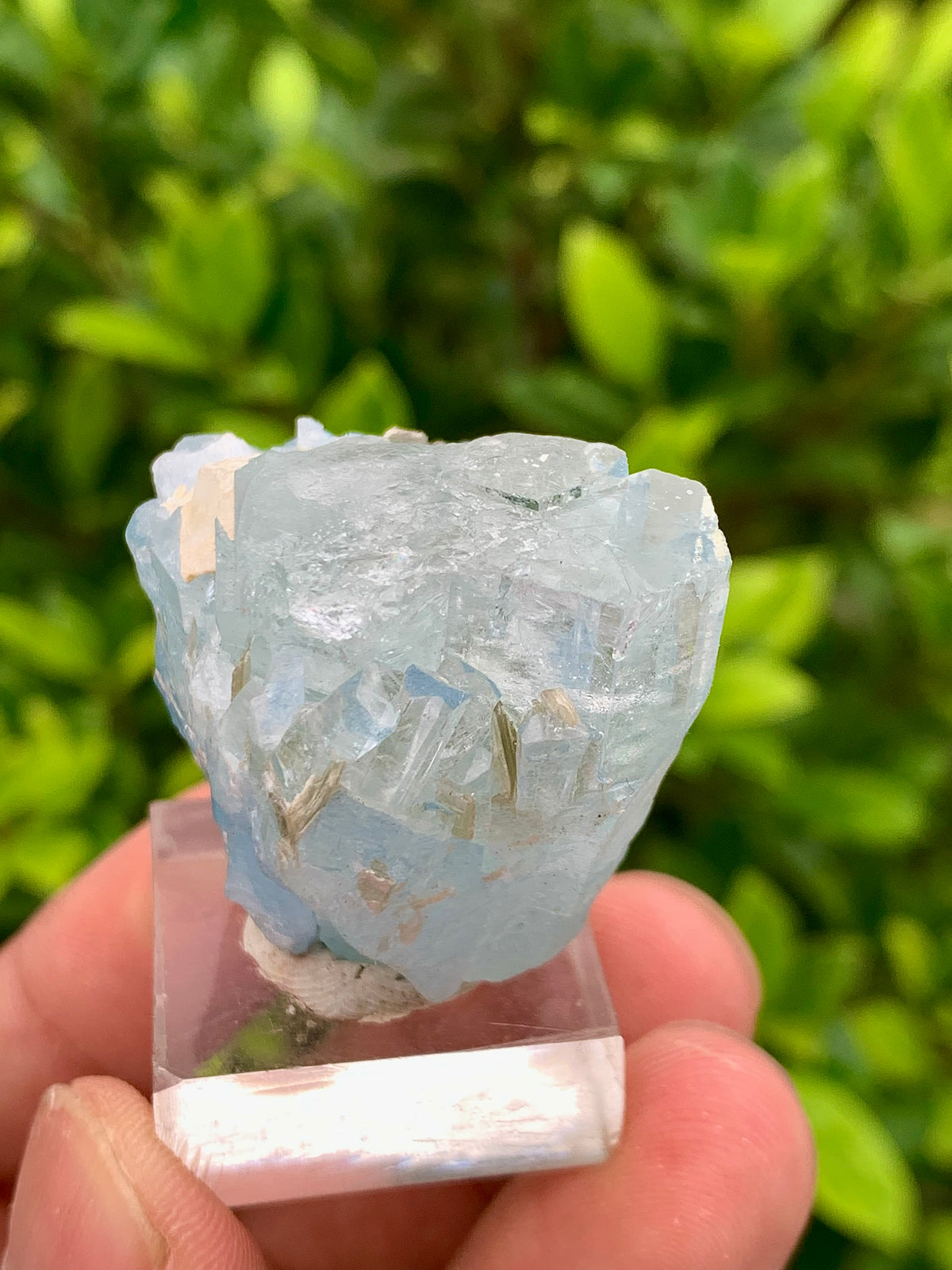 40 Grams Natural Blue Aquamarine Terminated Crystal Specimen on Muscovite Mica Matrix From Pakistan