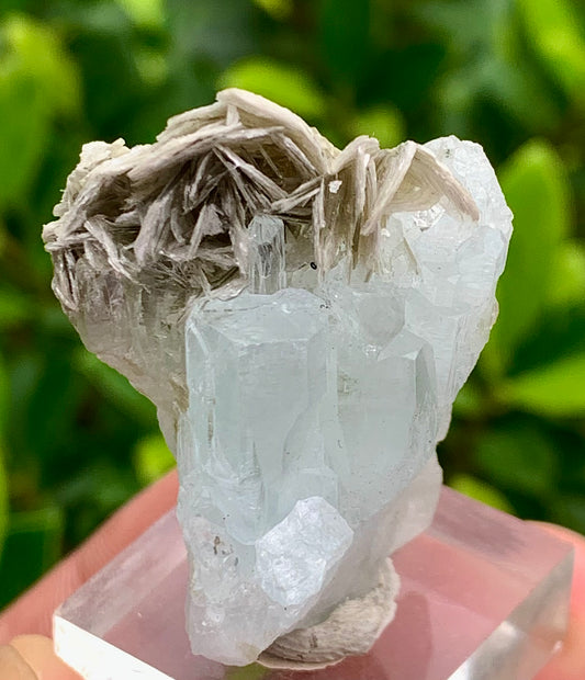 20 Grams Natural Blue Aquamarine Terminated Crystal Specimen on Muscovite Mica Matrix From Pakistan