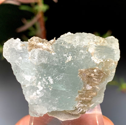36g Natural Etched Aquamarine Crystal on Muscovite Mica Matrix from Pakistan