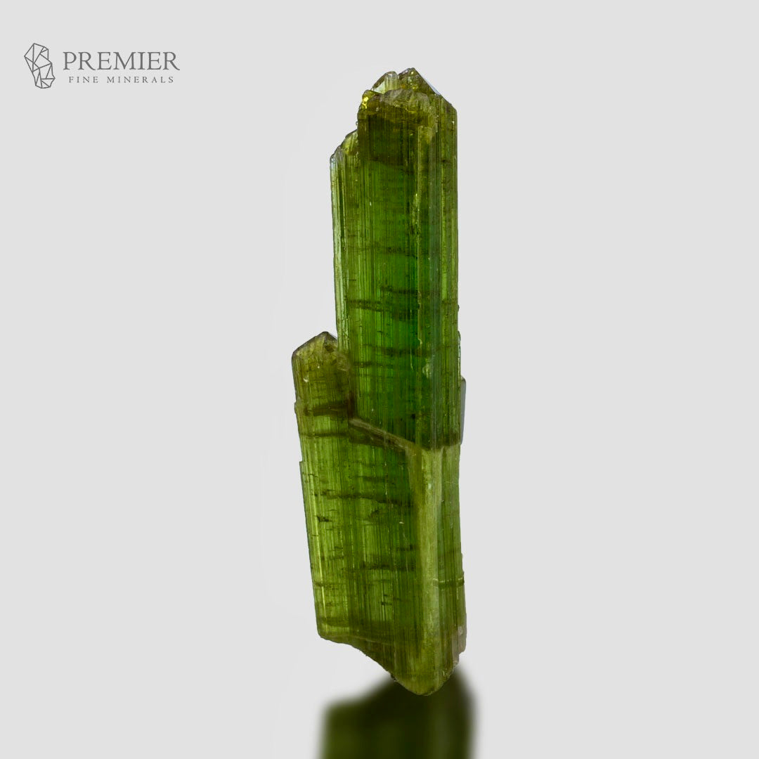 A green tourmaline crystal cluster with vertical striations, displayed on a light gray reflective surface with a shadow. The 'PREMIER FINE MINERALS' logo is visible in the top-left corner.