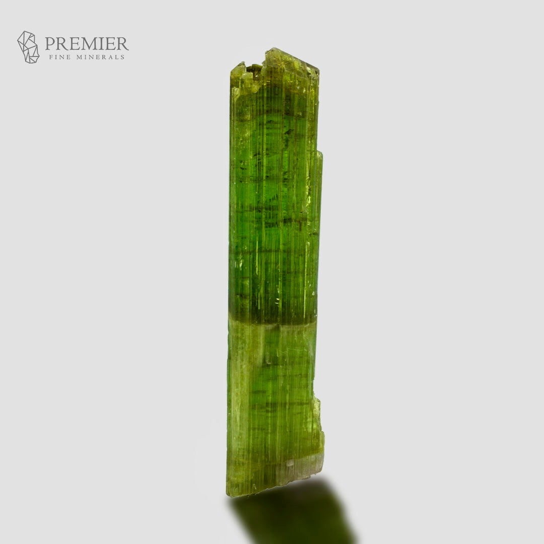 A single green mineral crystal with visible faceted edges and internal striations, photographed upright on a light gray background. The Premier Fine Minerals logo appears in the upper left corner.