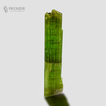 A single green mineral crystal with visible faceted edges and internal striations, photographed upright on a light gray background. The Premier Fine Minerals logo appears in the upper left corner.