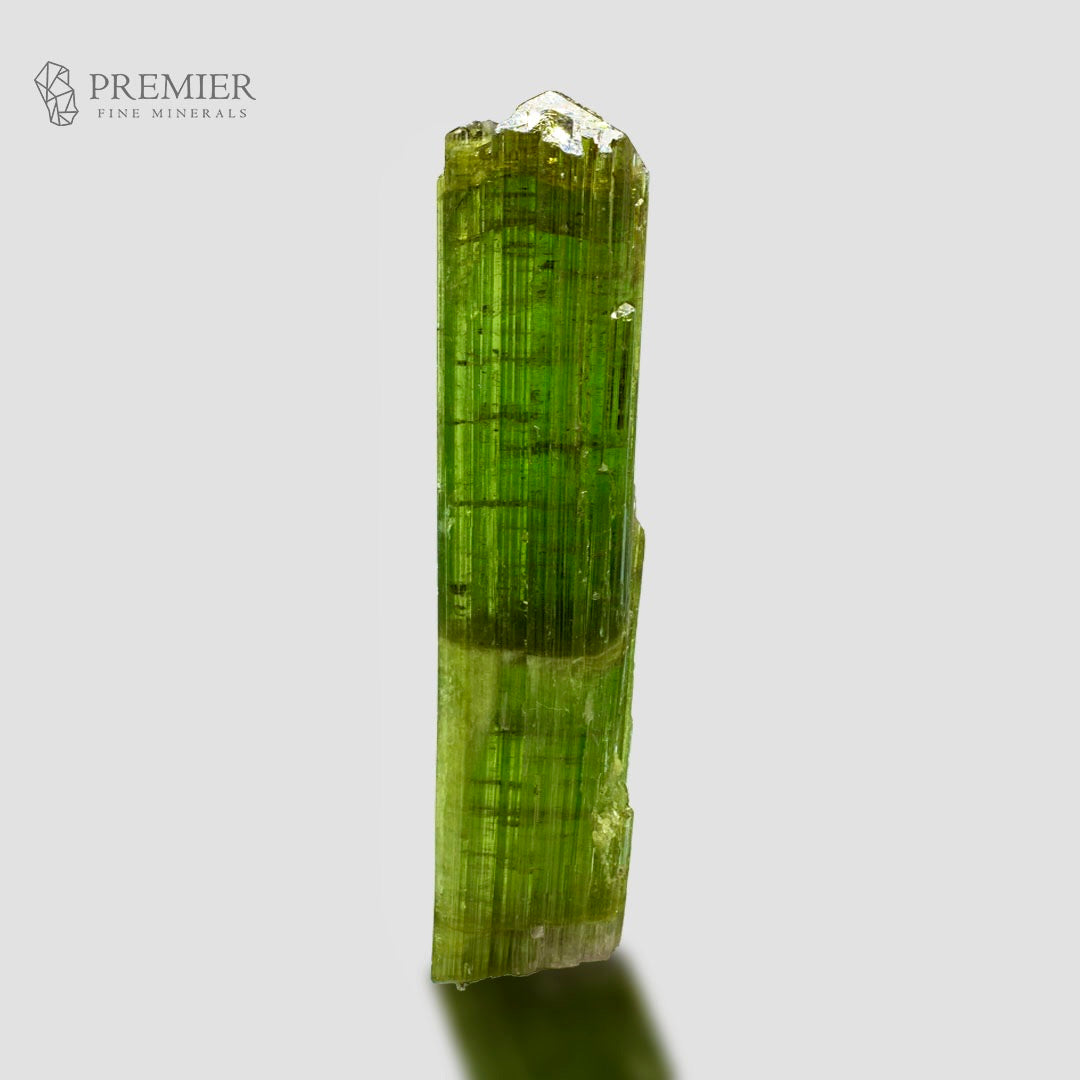 A natural green tourmaline crystal column with vertical ribbing and a faceted top, displayed on a light gray background with a shadow. The Premier Fine Minerals logo is visible in the top left corner.