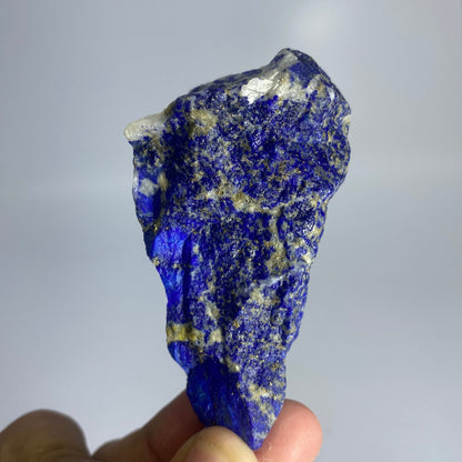 Premium 164g Royal Blue rough Lapis Lazuli from Afghanistan. 8.0cm chunky, unpolished natural specimen featuring intense blue lazurite and brilliant golden pyrite flecks