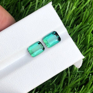 Lagoon Green Tourmaline Loose Gems Afghanistan