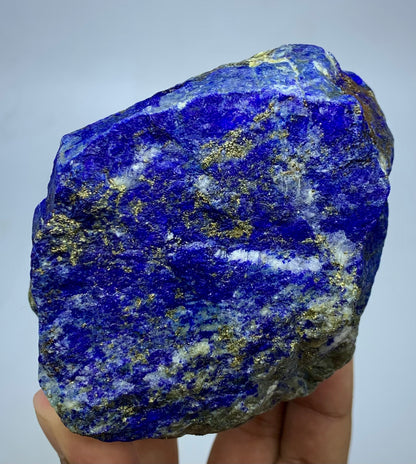 A raw lapis lazuli crystal specimen with deep blue coloration and metallic gold pyrite veins, held in a person's hand against a light gray background.