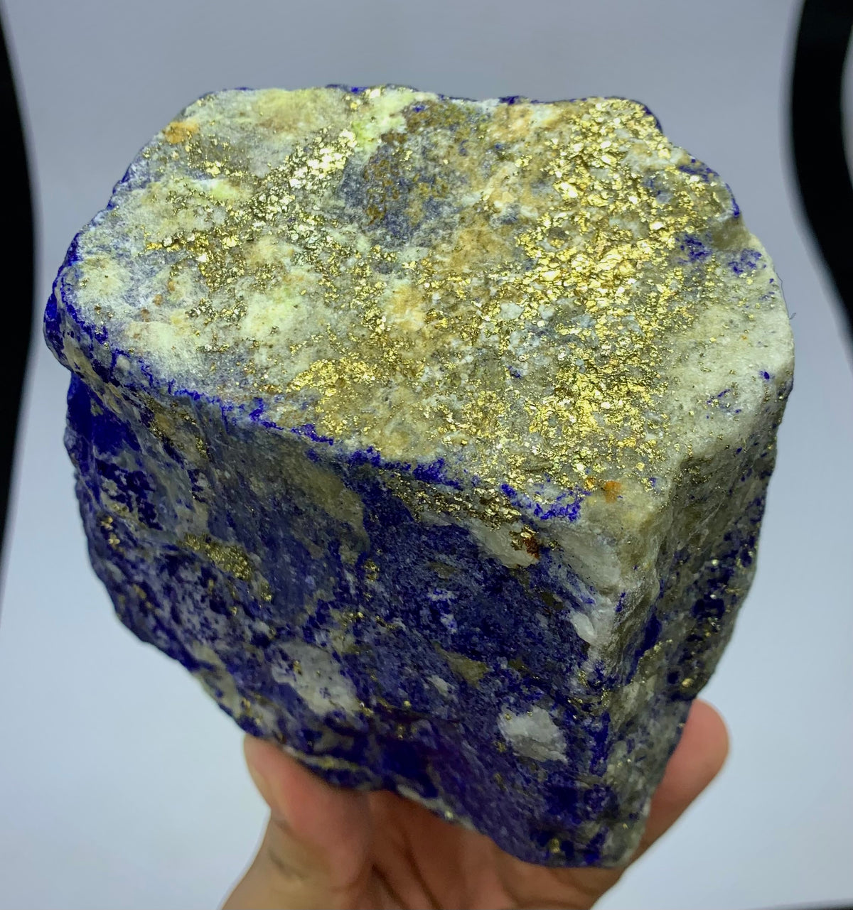 A hand holding a raw lapis lazuli crystal specimen with prominent metallic gold pyrite inclusions and deep blue matrix, shown against a neutral light gray background.