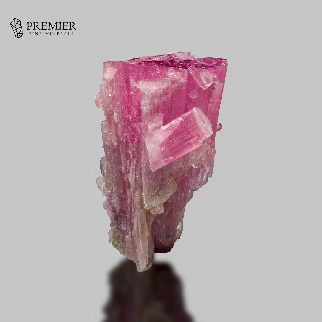 A pink fluorite crystal cluster specimen on a neutral gray background, with the Premier Fine Minerals logo in the top-left corner.