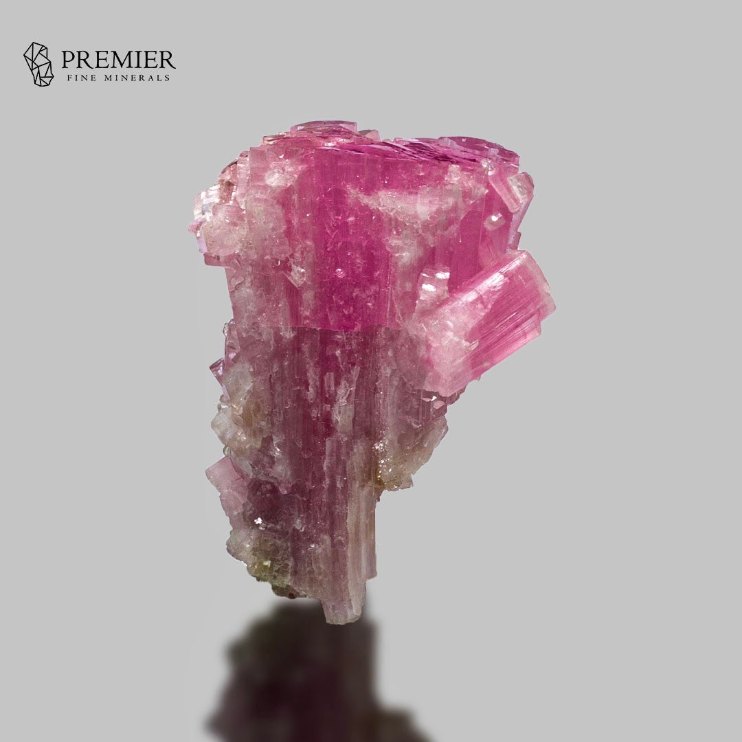 A pink Tourmaline crystal cluster with layered, prismatic structures, displayed on a neutral gray background with a reflection below. The Premier Fine Minerals logo is visible in the top-left corner.