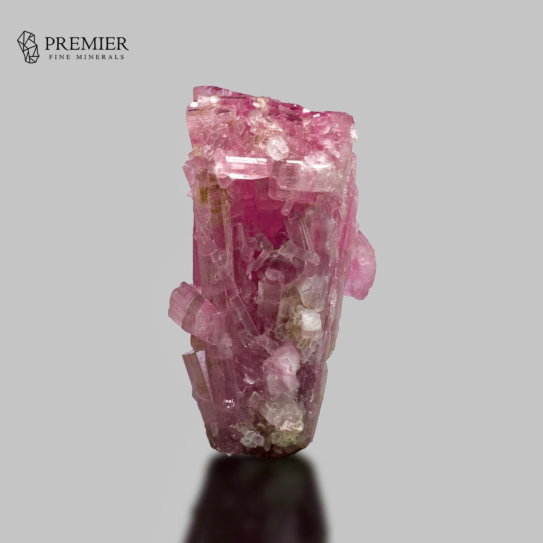 A pink fluorite crystal cluster with prominent magenta and pink hues, featuring clear and pale crystalline structures, displayed on a neutral gray background with a reflection below. The Premier Fine Minerals logo is visible in the top left corner.
