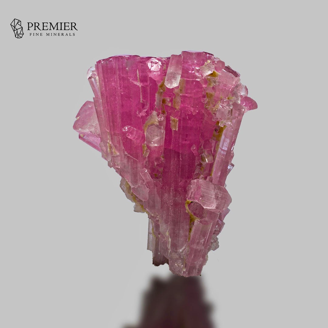 A pink tourmaline crystal cluster with visible yellowish inclusions, photographed on a light gray background. The Premier Fine Minerals logo is visible in the top-left corner.