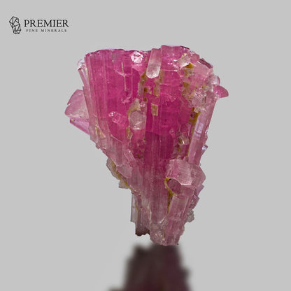 A pink tourmaline crystal cluster with visible yellowish inclusions, photographed on a light gray background. The Premier Fine Minerals logo is visible in the top-left corner.