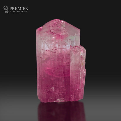 A raw pink tourmaline crystal with a hexagonal prism shape, showing vibrant magenta-pink hues and natural inclusions, displayed on a reflective dark surface against a black background with the Premier Fine Minerals logo in the top left corner.