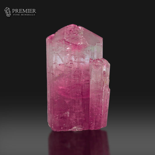 A raw pink tourmaline crystal with a hexagonal prism shape, showing vibrant magenta-pink hues and natural inclusions, displayed on a reflective dark surface against a black background with the Premier Fine Minerals logo in the top left corner.