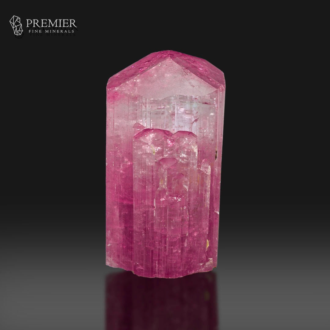 A pink tourmaline crystal point with a hexagonal shape, showing a gradient from light pink at the top to a deeper magenta-pink at the base, set against a dark gray gradient background with a reflection below. The Premier Fine Minerals logo is visible in the top left corner.