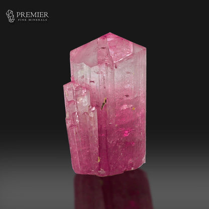 A pink tourmaline crystal specimen with prominent vertical growth zones and natural inclusions, displayed on a reflective dark surface against a black background. The Premier Fine Minerals logo is visible in the top-left corner.