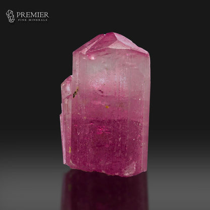 A pink tourmaline crystal point specimen with a secondary crystal growing from the left side, displayed on a reflective surface against a dark gray gradient background. The Premier Fine Minerals logo is visible in the top-left corner.