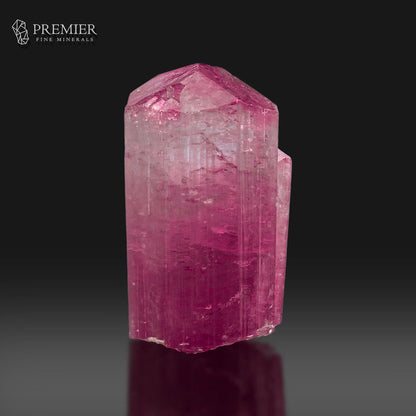 A pink tourmaline crystal cluster with a faceted hexagonal top, shown on a reflective dark gray surface against a black background. The Premier Fine Minerals logo is visible in the top left corner.
