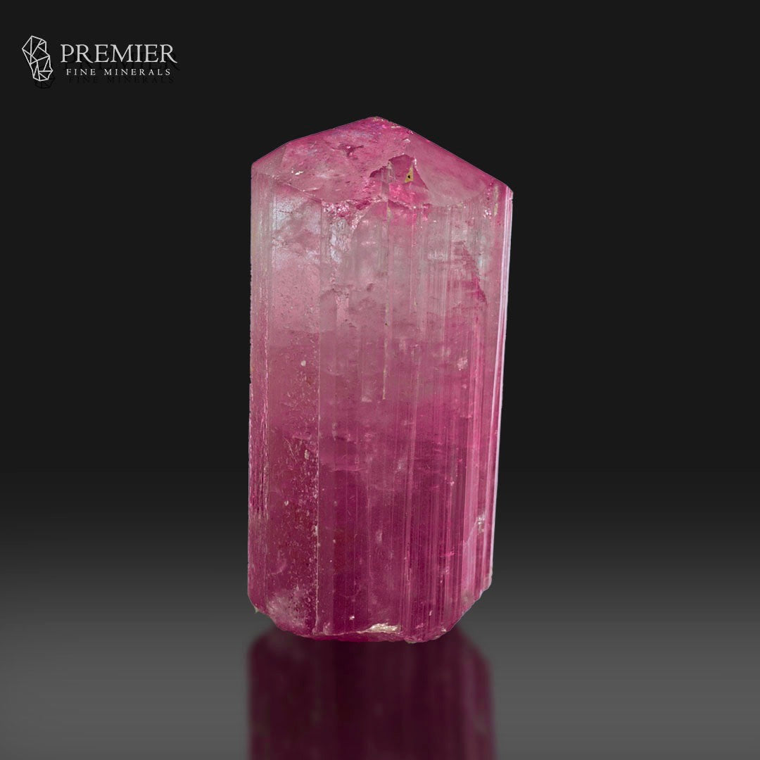 A faceted pink tourmaline crystal mineral specimen, standing upright on a reflective dark surface against a black background. The Premier Fine Minerals logo is visible in the top-left corner.