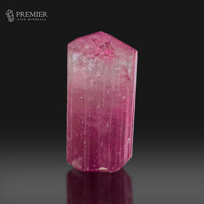 A faceted pink tourmaline crystal mineral specimen, standing upright on a reflective dark surface against a black background. The Premier Fine Minerals logo is visible in the top-left corner.