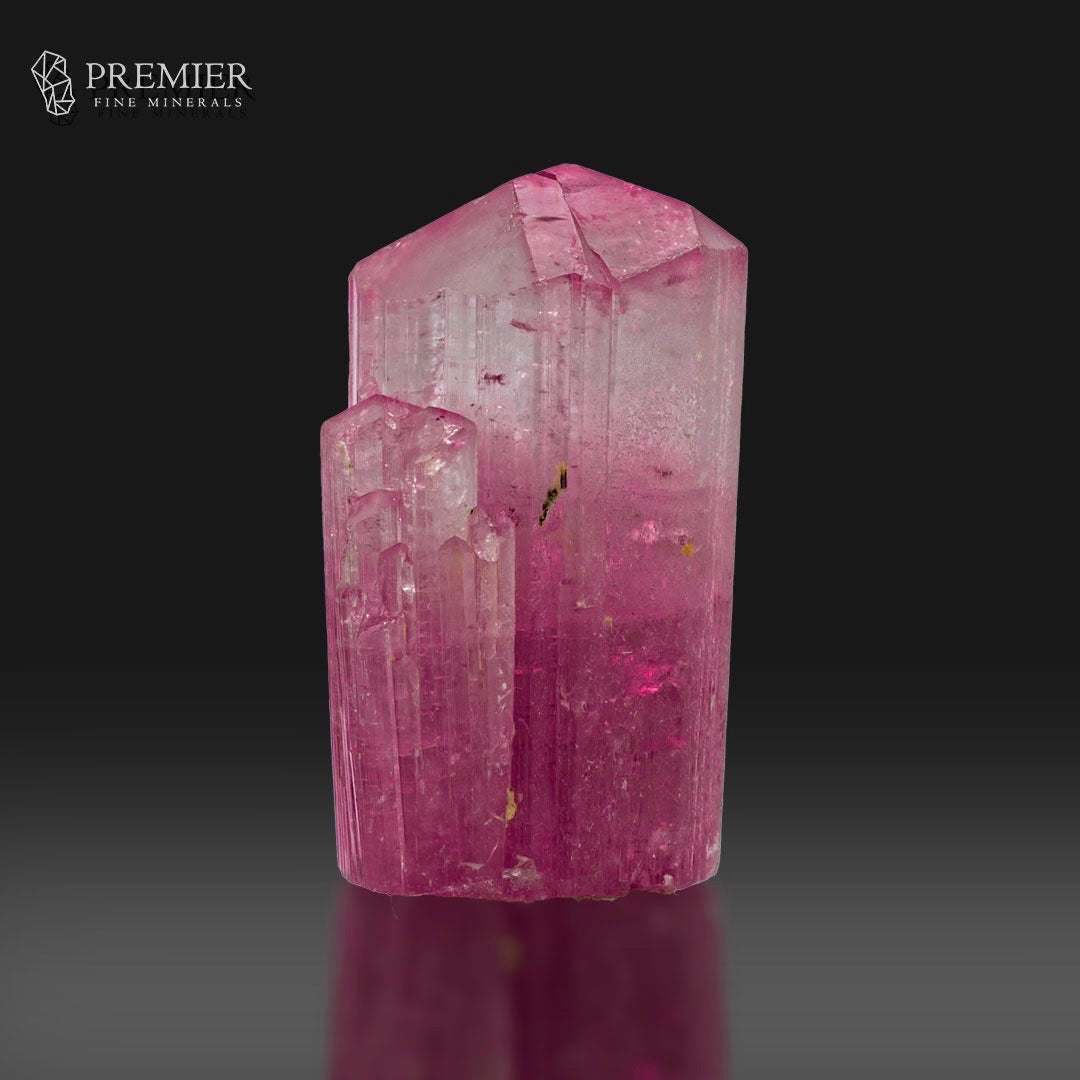 A pink tourmaline crystal specimen with a faceted top and rougher side, photographed on a dark reflective surface against a black background. The Premier Fine Minerals logo is visible in the upper left.
