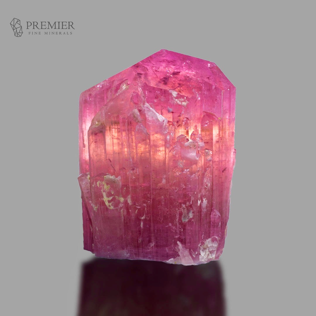 A vibrant magenta-pink natural tourmaline crystal cluster with visible internal growth patterns and clear facets, displayed on a reflective gray surface against a solid gray background. The Premier Fine Minerals logo is visible in the top-left corner.