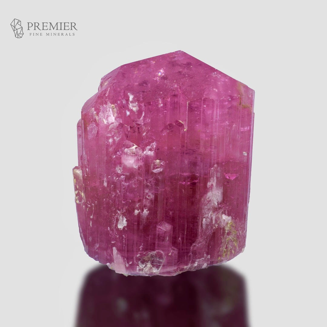 A raw, unpolished pink tourmaline crystal with visible vertical striations and white inclusions, displayed on a light gray reflective surface. The Premier Fine Minerals logo is visible in the top left corner.