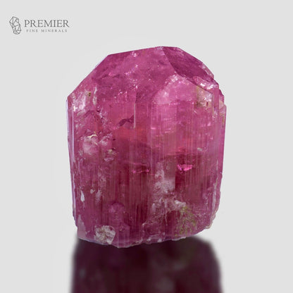 A raw, faceted pink tourmaline crystal with visible striations and natural impurities, displayed on a reflective surface against a light gray background. The Premier Fine Minerals logo is visible in the top left corner.