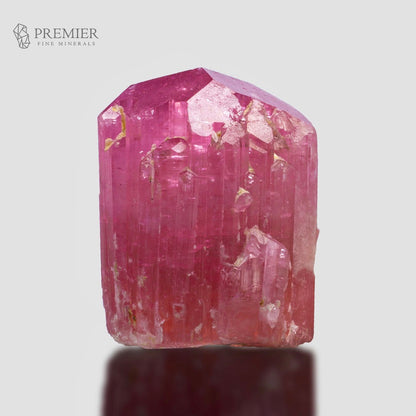A pink tourmaline crystal with visible gold inclusions, displayed on a light gray background with a reflection below. The Premier Fine Minerals logo is visible in the top left corner.