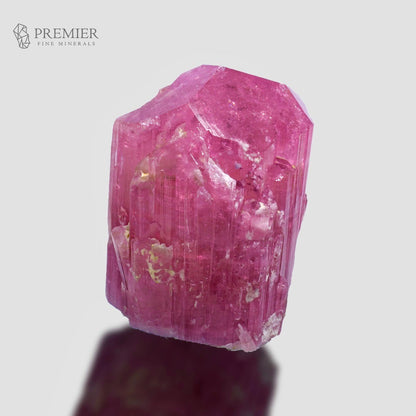 A pink tourmaline crystal specimen with visible faceted edges and internal striations, photographed on a light gray background with a reflection below. The Premier Fine Minerals logo appears in the upper left corner.